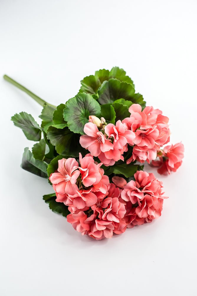 UV Protected Outdoor Geranium Bush, Salmon - Greenery MarketMTF24525 SALP