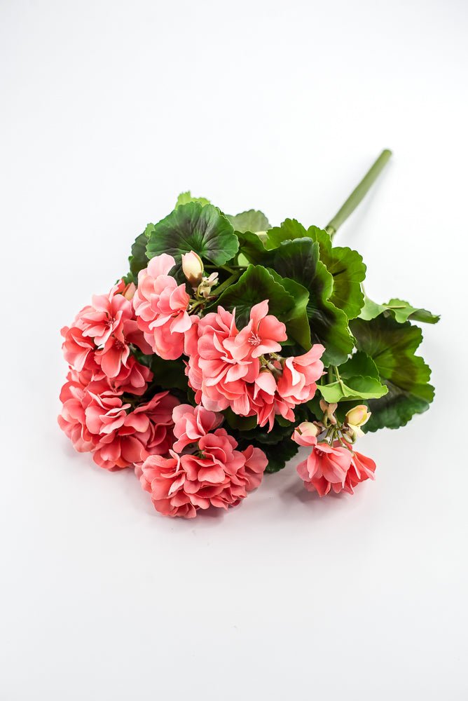 UV Protected Outdoor Geranium Bush, Salmon - Greenery MarketMTF24525 SALP