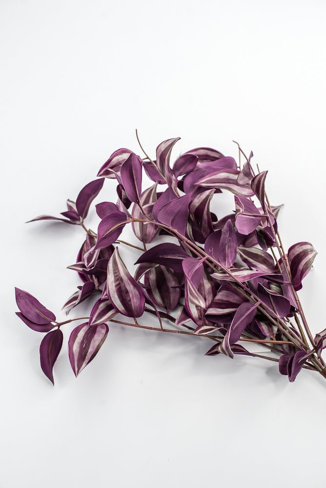 UV protected Tradescanthia Bush - Purple - Greenery MarketMTF24534 PUGR