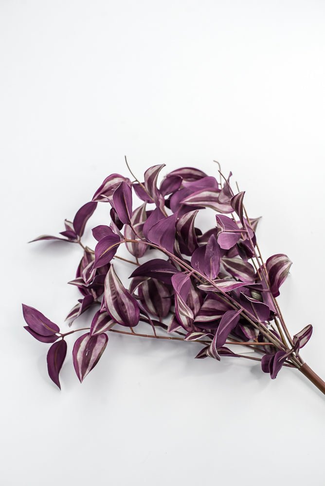 UV protected Tradescanthia Bush - Purple - Greenery MarketMTF24534 PUGR