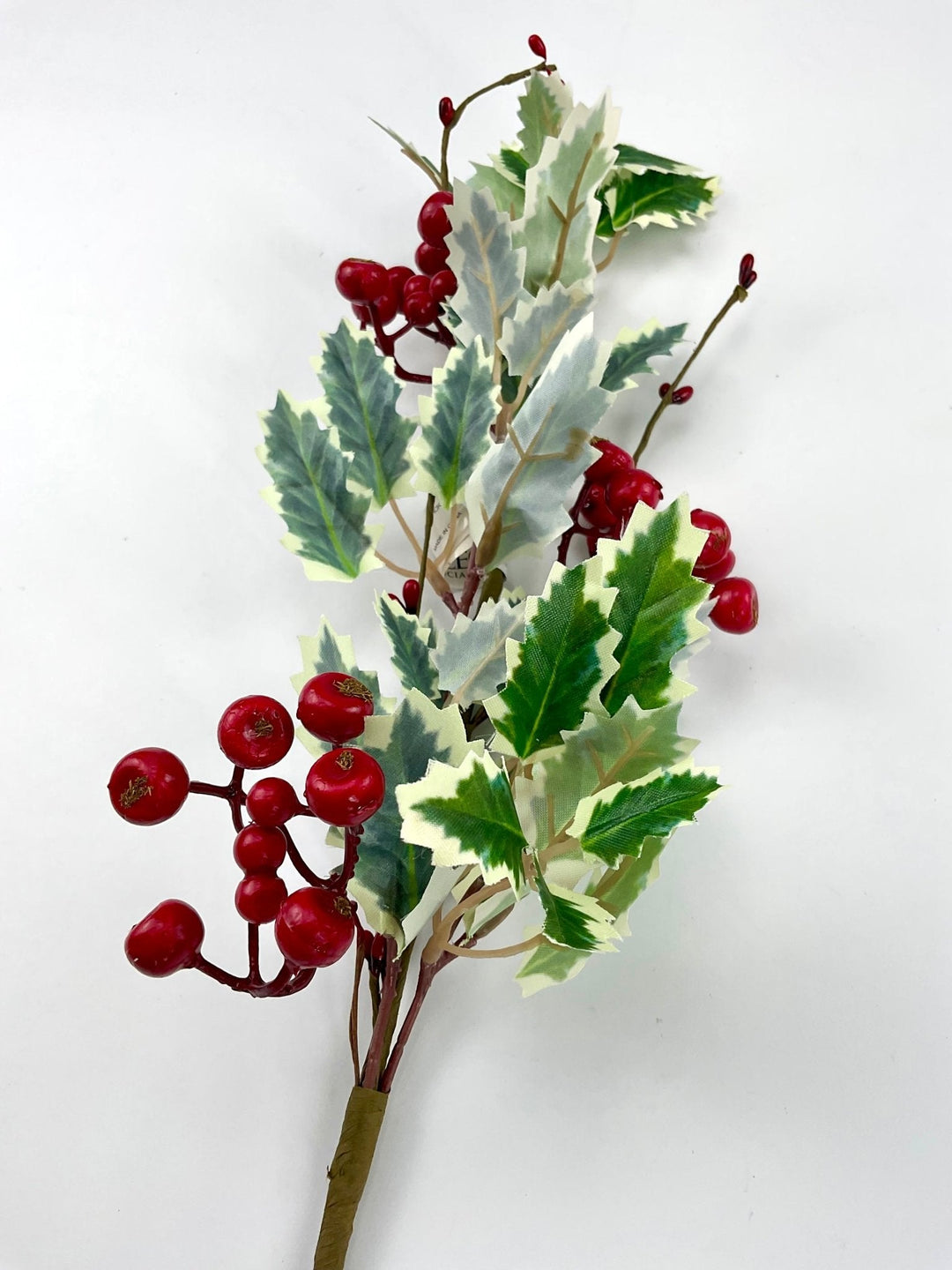 Varigated holly berry pick - Greenery MarketWinter and ChristmasXP2283 - GWR