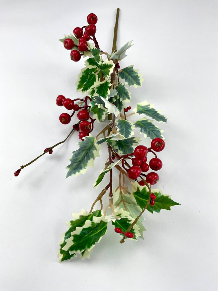 Varigated holly berry pick - Greenery MarketWinter and ChristmasXP2283 - GWR