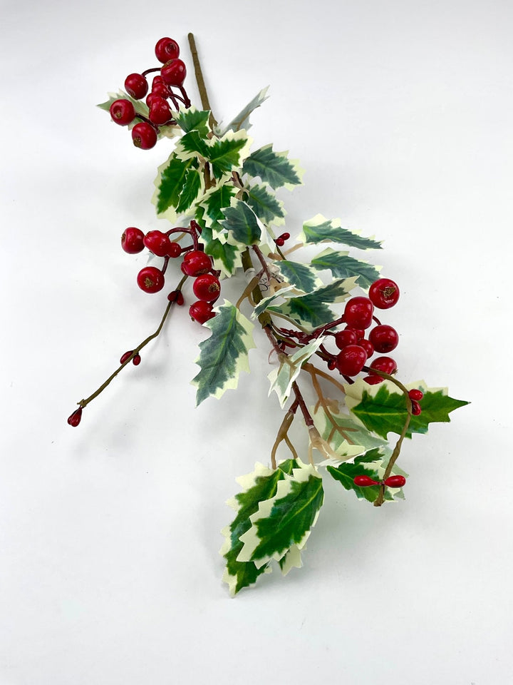 Varigated holly berry pick - Greenery MarketWinter and ChristmasXP2283 - GWR