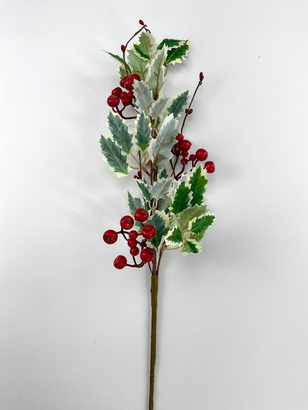 Varigated holly berry pick - Greenery MarketWinter and ChristmasXP2283 - GWR