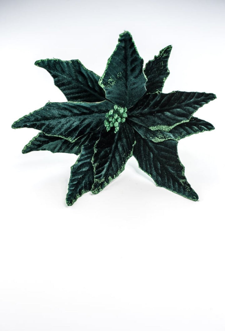 Velvet poinsettia - dark green - Greenery MarketWinter and Christmas85517DKGN