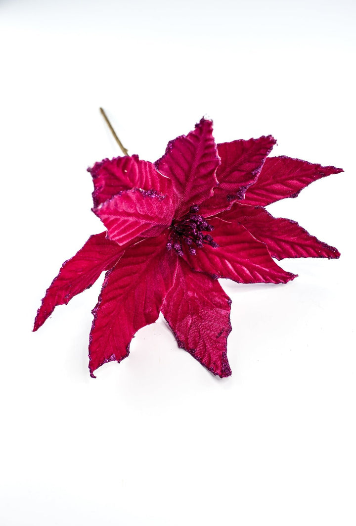 Velvet poinsettia - magenta - Greenery MarketWinter and Christmas85517BT