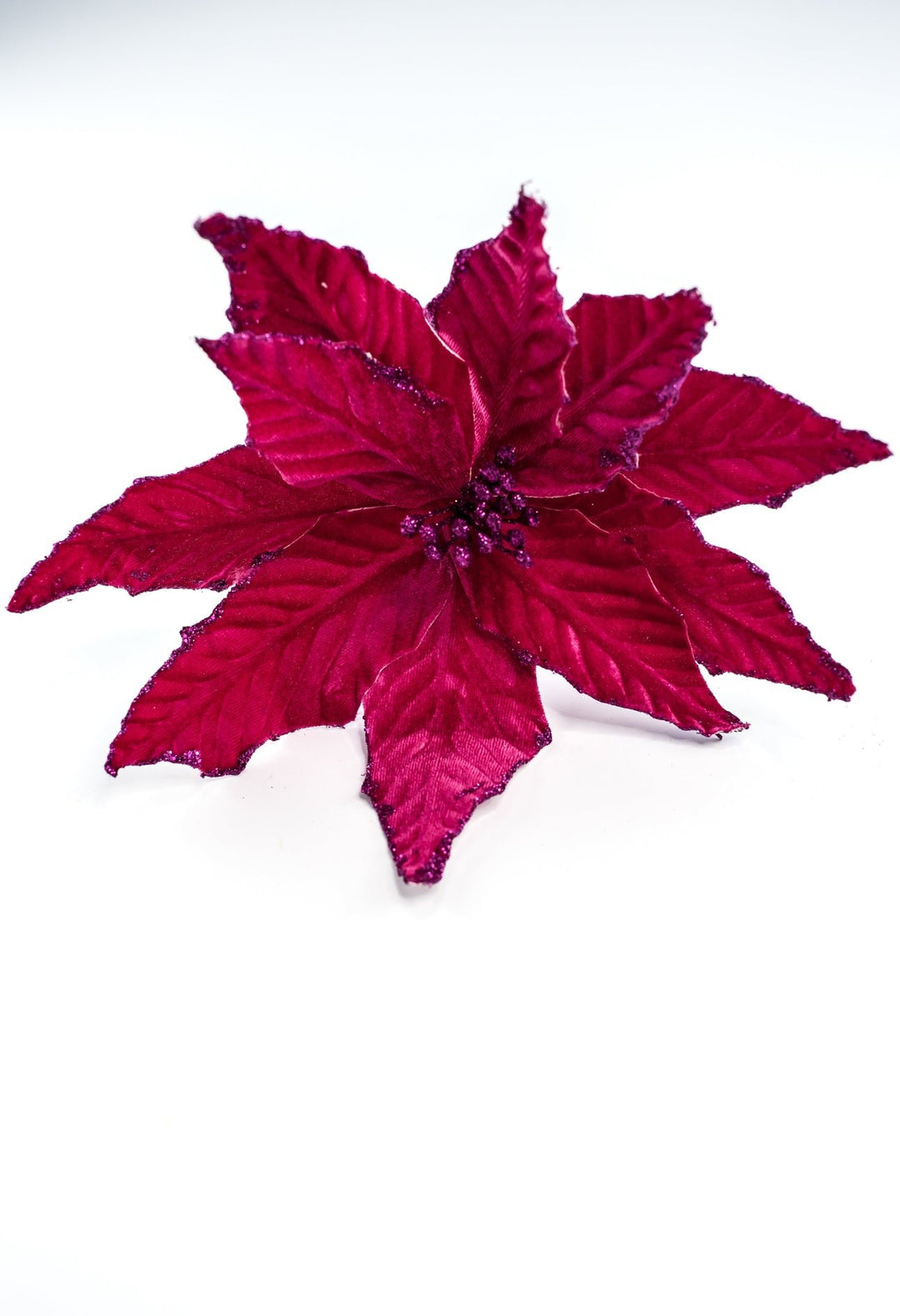 Velvet poinsettia - magenta - Greenery MarketWinter and Christmas85517BT