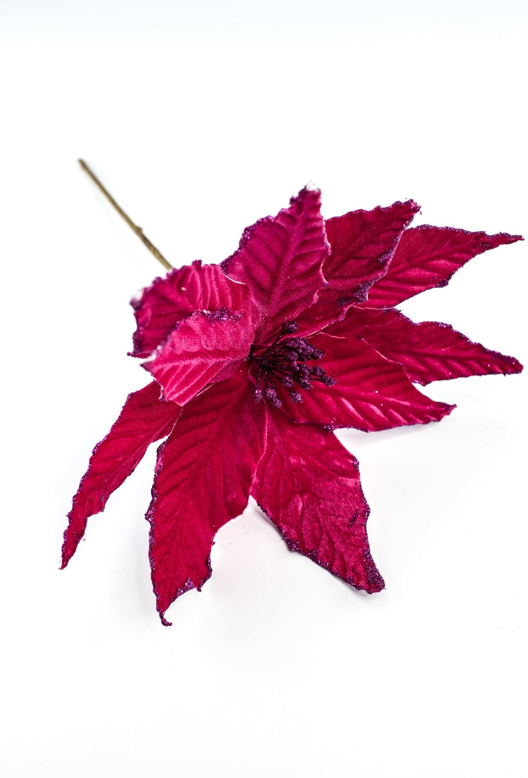 Velvet poinsettia - magenta - Greenery MarketWinter and Christmas85517BT