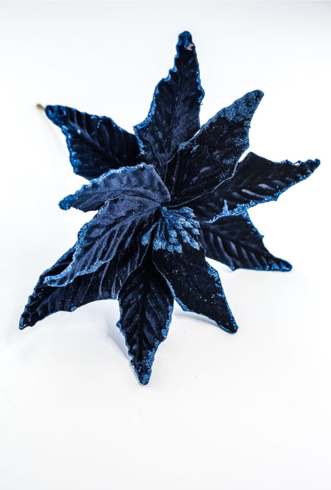 Velvet poinsettia - navy blue with shimmer edge - Greenery MarketWinter and Christmas85517nvbl