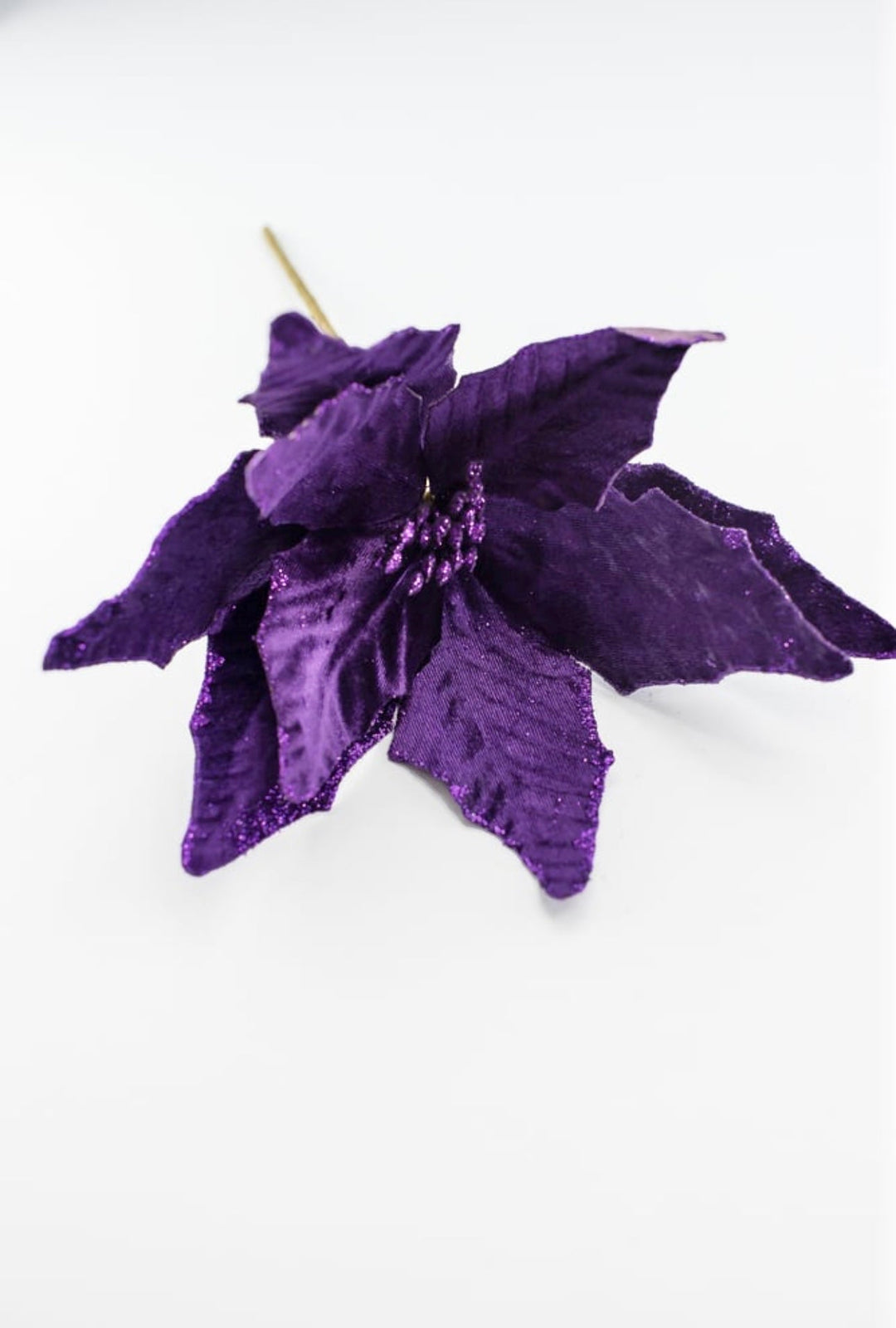 Velvet poinsettia - purple - Greenery MarketWinter and Christmas85517DKPU