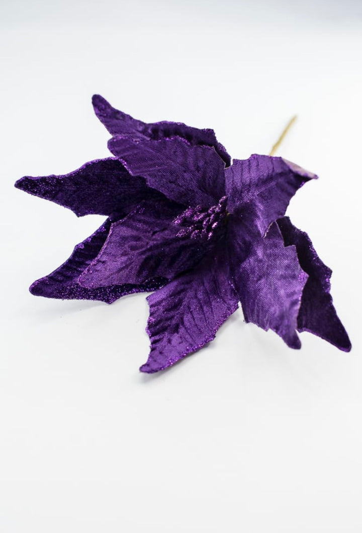 Velvet poinsettia - purple - Greenery MarketWinter and Christmas85517DKPU