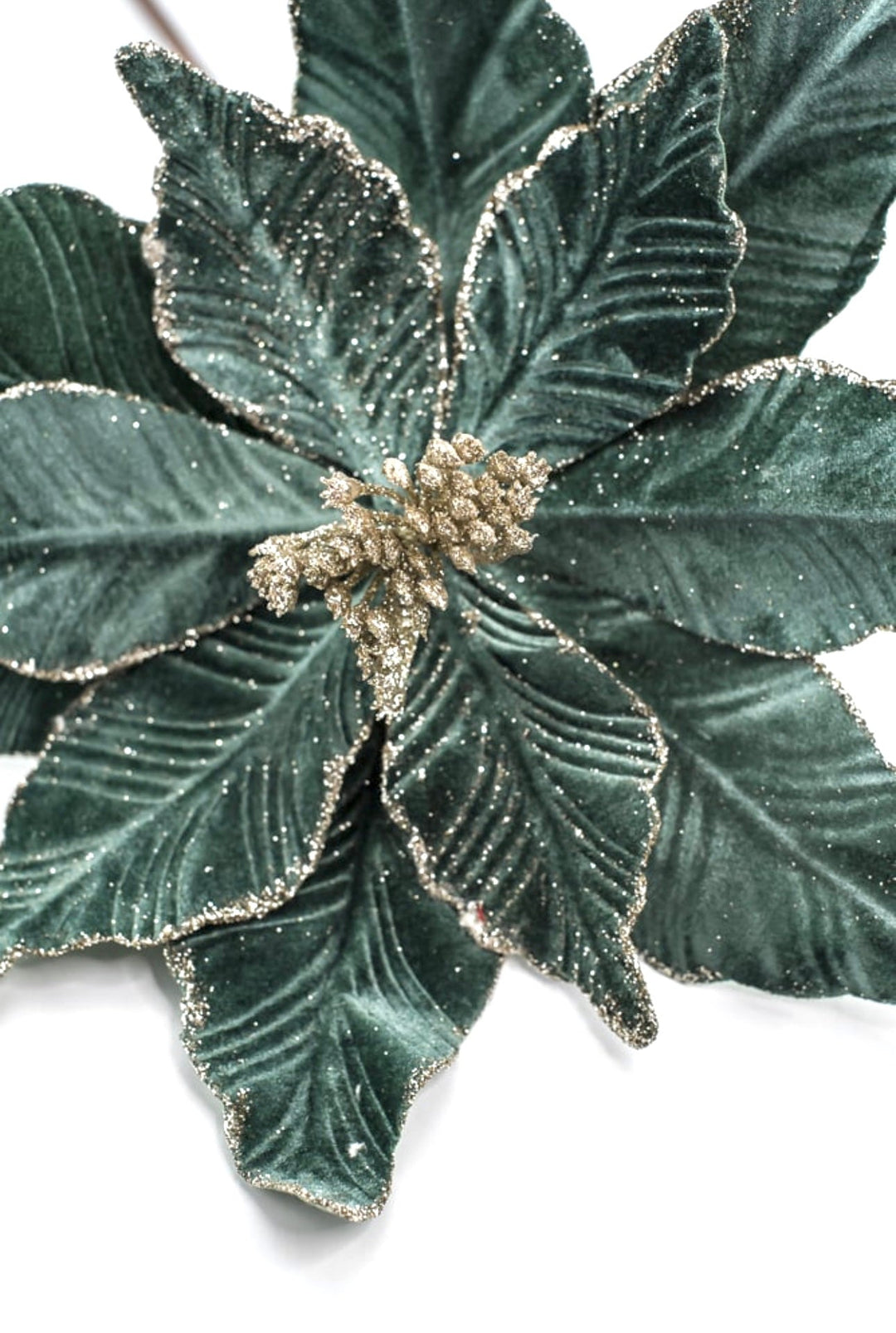 Velvet poinsettia stem - blue green - Greenery Market227550