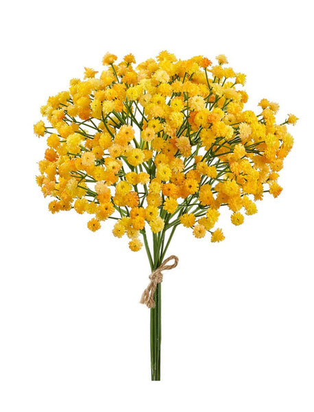 B.C...SALE 　gypsohila Flower Knit Gypsophila Cosmic Flowers Bulk Pack - Wholesale - Blooms By The Box