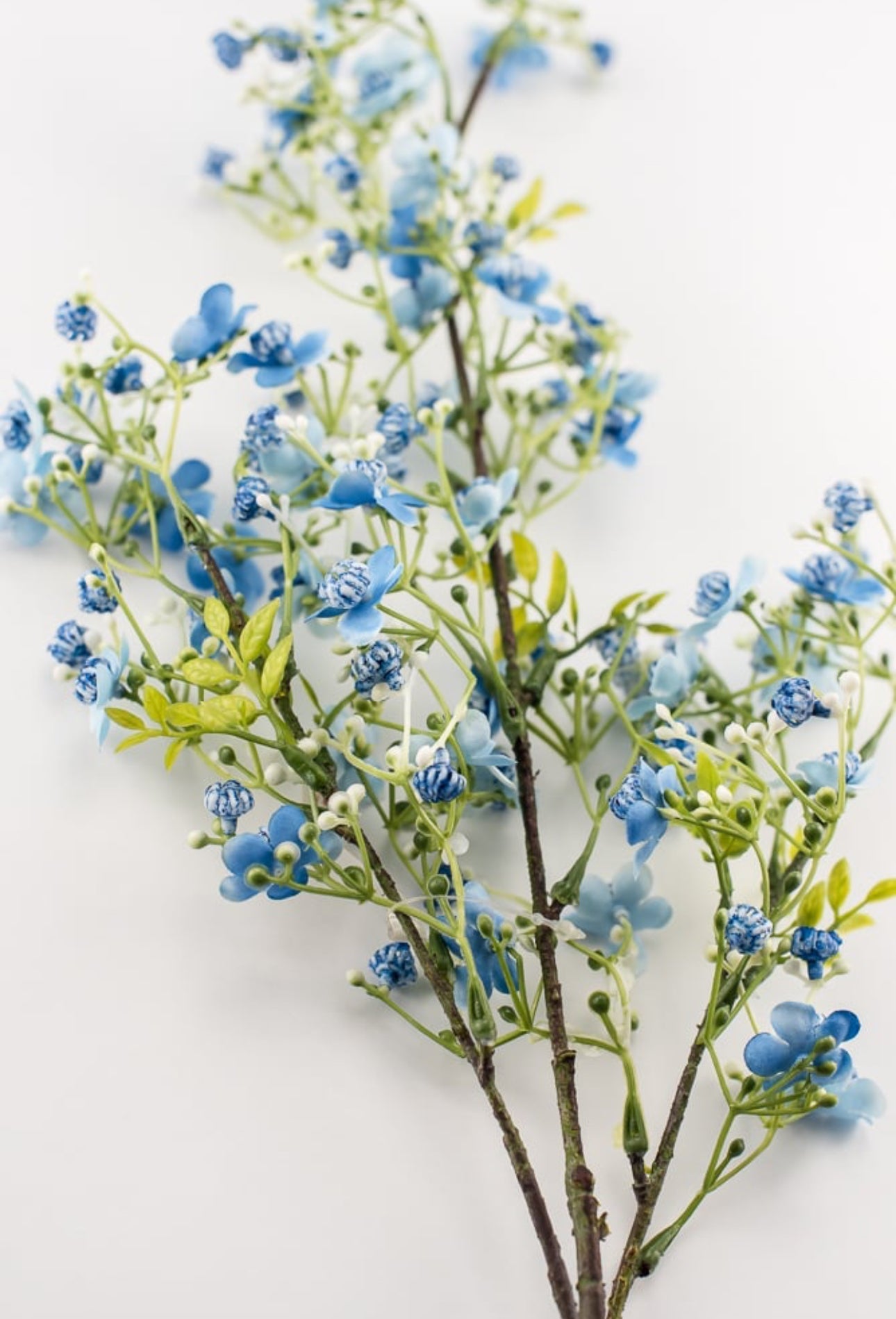 Wax flower spray - blue - Greenery Market