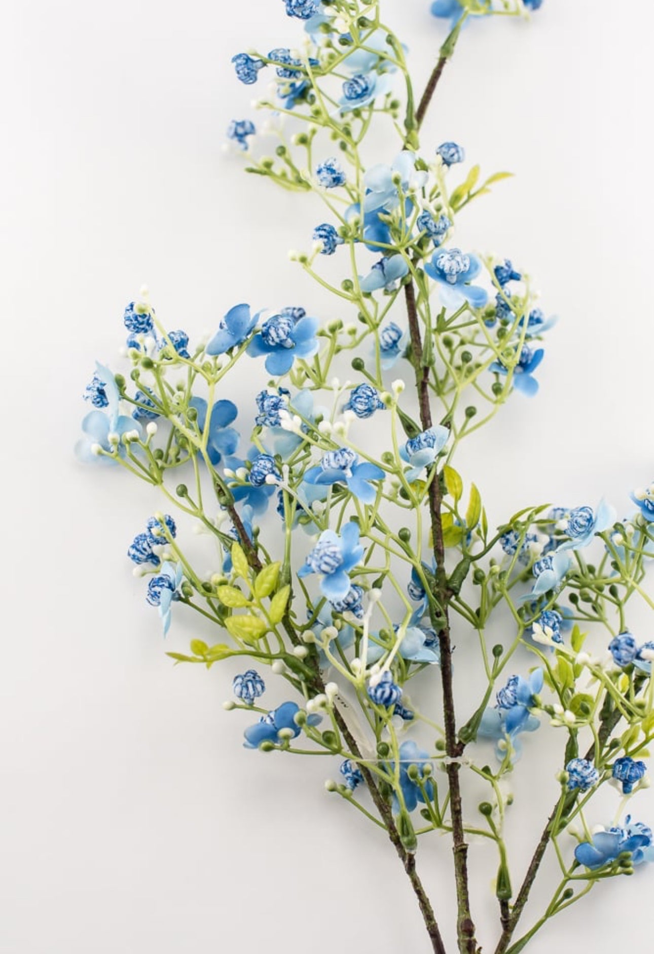 Wax flower spray - blue - Greenery Market