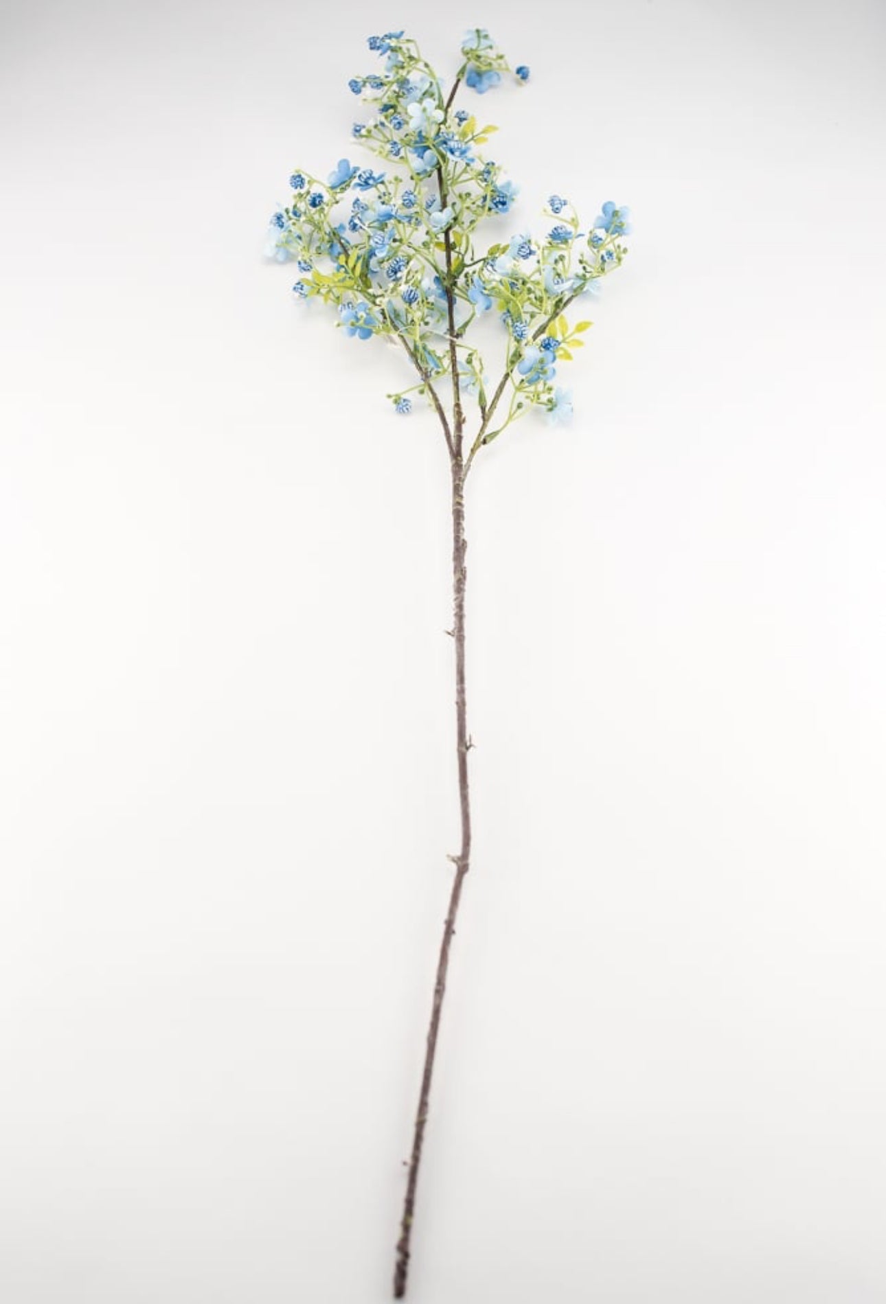 Wax flower spray - blue - Greenery Market