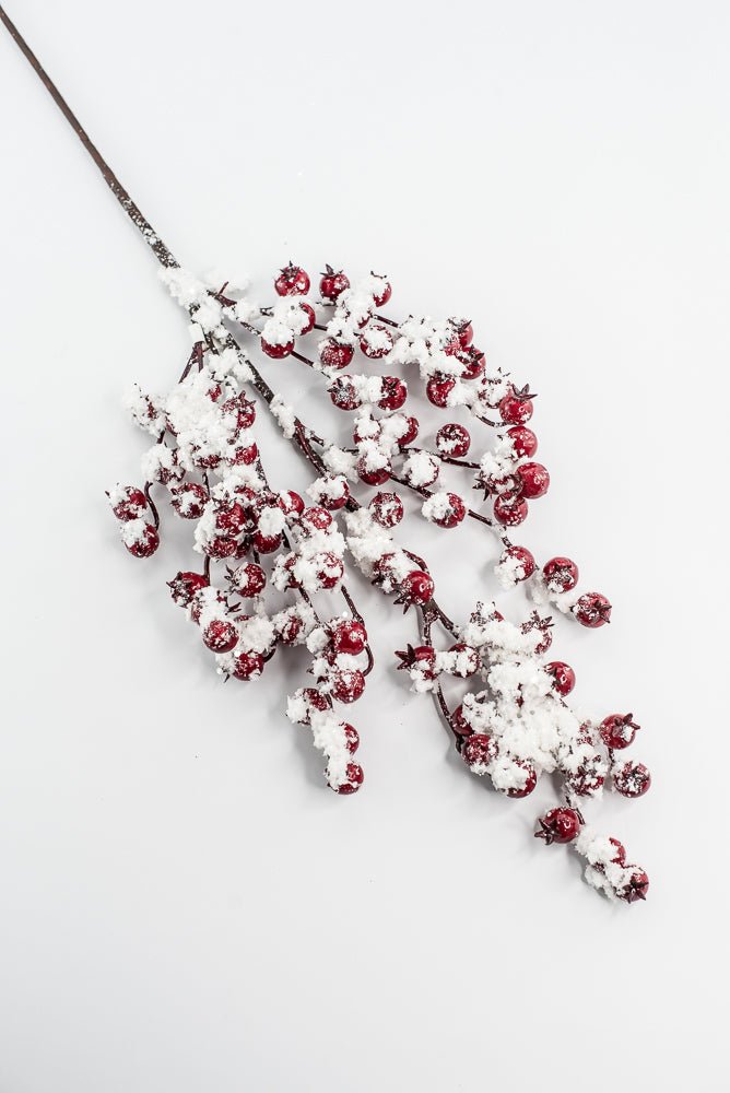 Weather Friendly red berries with snow - Greenery MarketBerriesXB444 - R