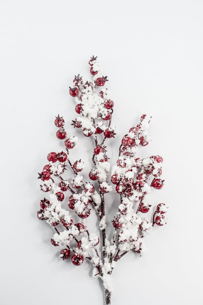 Weather Friendly red berries with snow - Greenery MarketBerriesXB444 - R