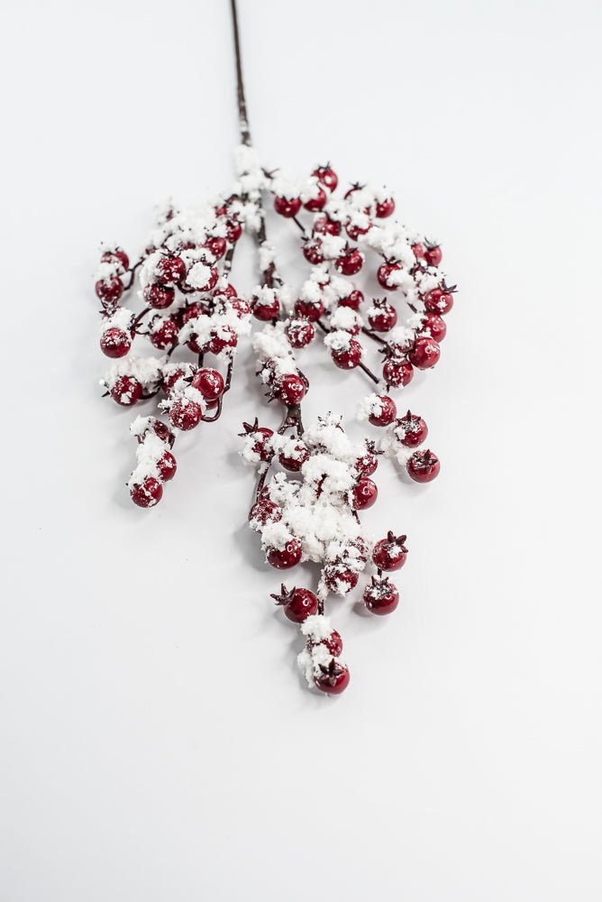 Weather Friendly red berries with snow - Greenery MarketBerriesXB444 - R