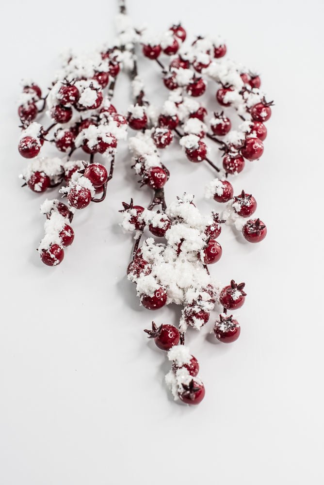 Weather Friendly red berries with snow - Greenery MarketBerriesXB444 - R