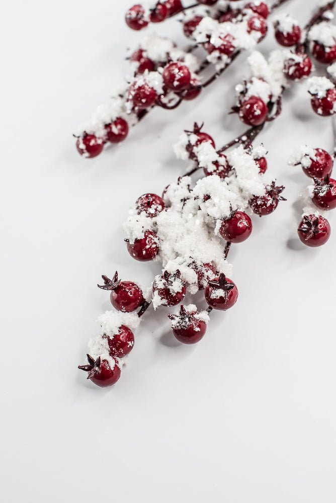 Weather Friendly red berries with snow - Greenery MarketBerriesXB444 - R