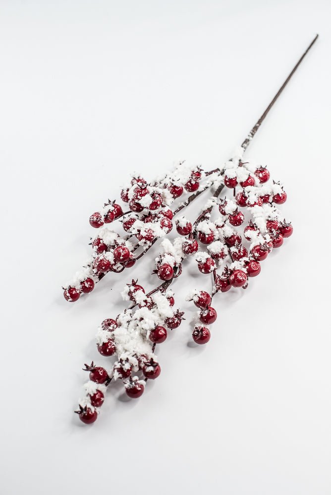 Weather Friendly red berries with snow - Greenery MarketBerriesXB444 - R