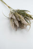 Wheat grass bundle - light brown - Greenery MarketArtificial Flora26400
