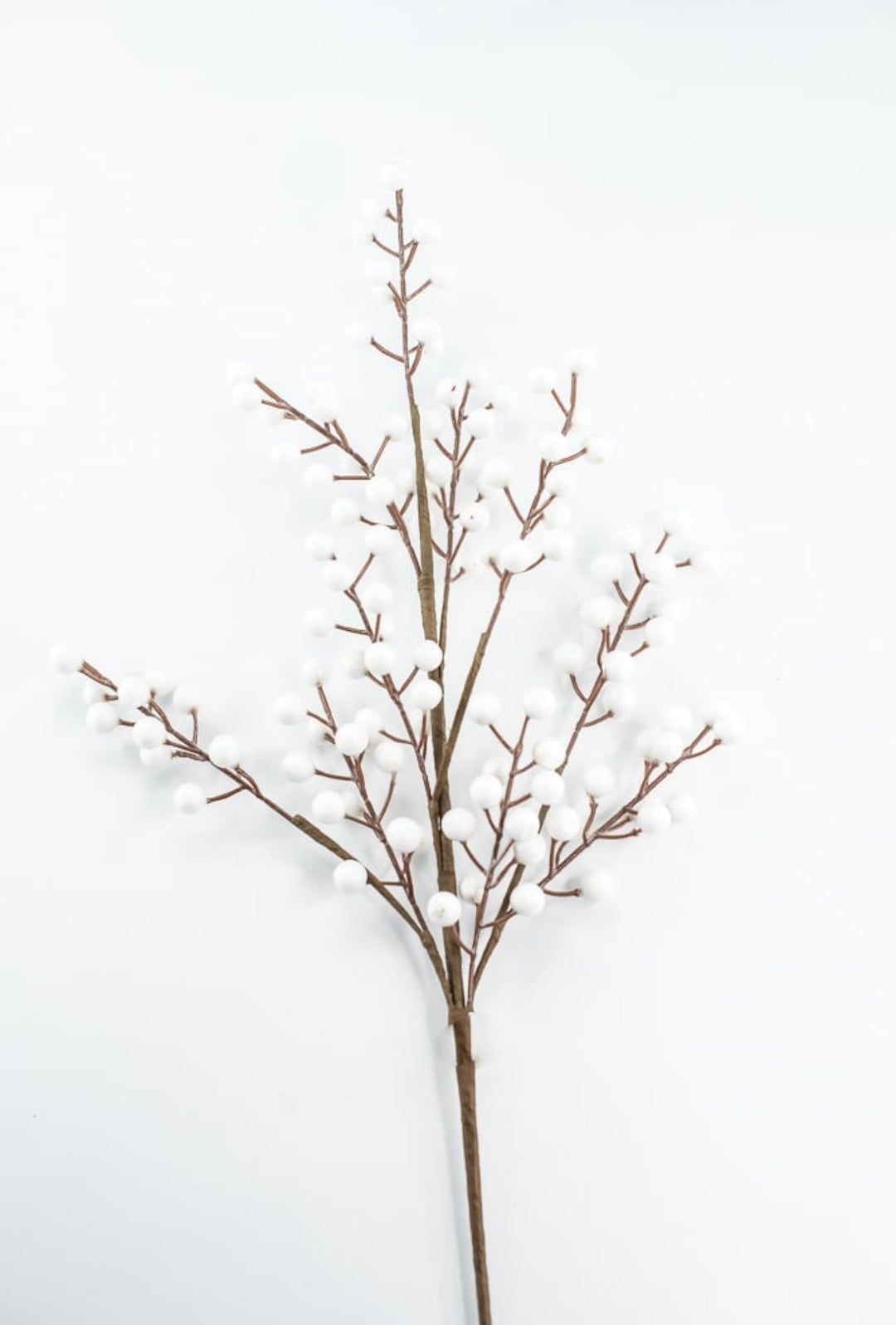 White Berry Spray - 28" - Greenery MarketB1719W