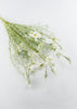 White daisies flower bush - Greenery Marketartificial flowers63307WT