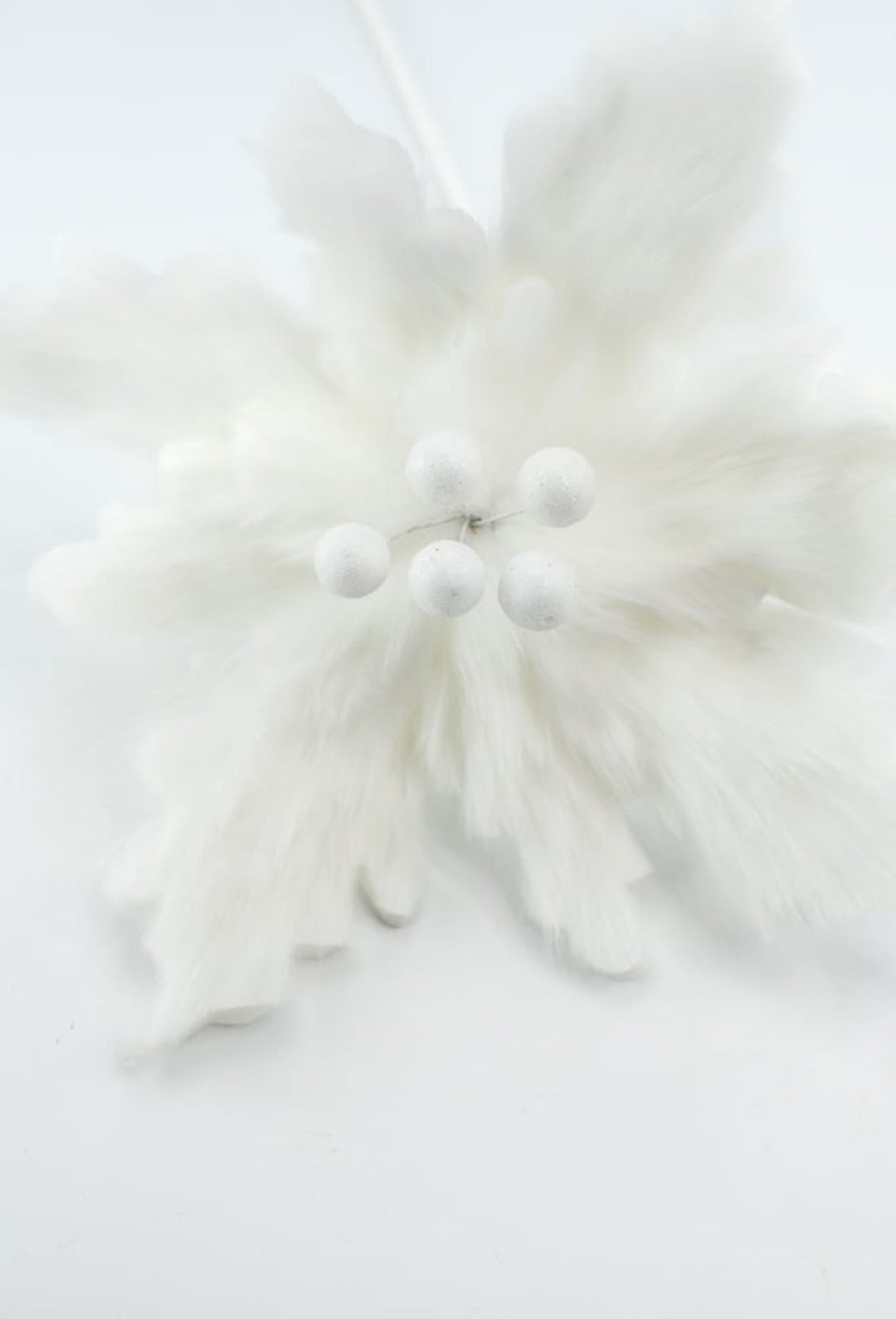 White fluffy poinsettia stem - Greenery Market234973