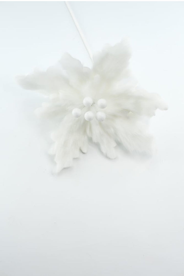 White fluffy poinsettia stem - Greenery Market234973