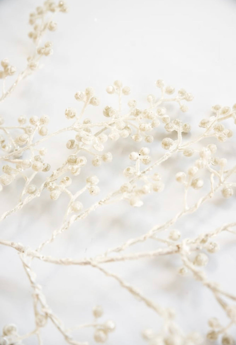 White glittered seed spray - Greenery MarketXg447 - wh