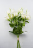 White lisianthus bundle - Greenery Market27042