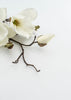 White magnolia pick - Greenery MarketArtificial Floraxf109-c
