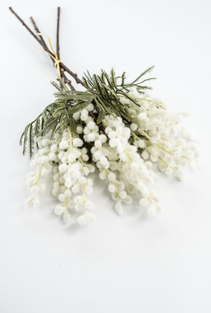 White Mimosa Bundle - 15" - Greenery Market6470W