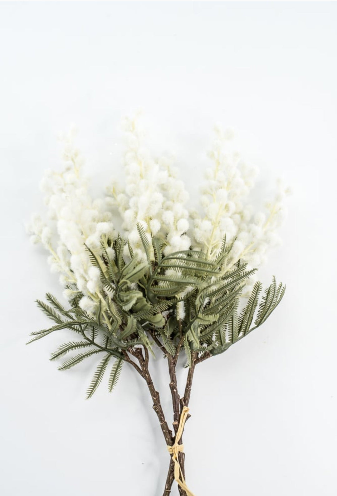 White Mimosa Bundle - 15" - Greenery Market6470W