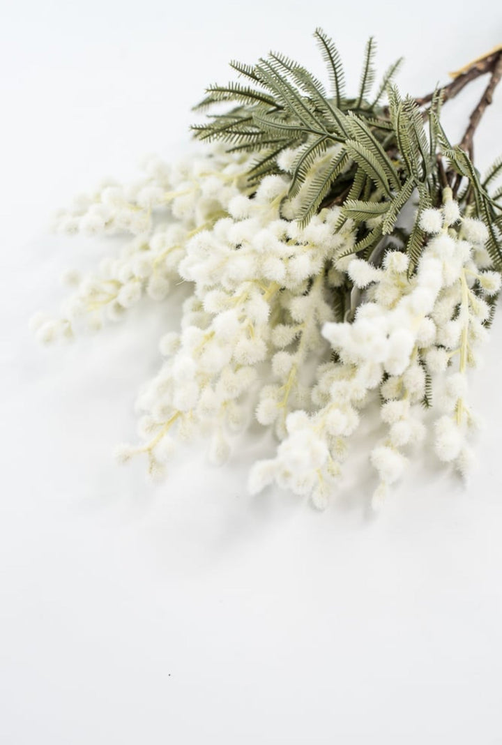 White Mimosa Bundle - 15" - Greenery Market6470W