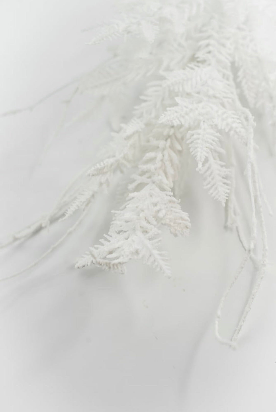 White Snow Mixed Pine Pick - Greenery Market23014