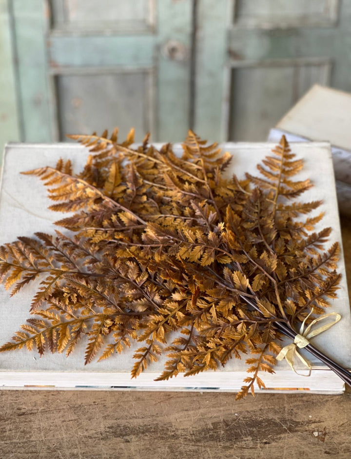 Wild fern bundle - cinnamon - Greenery MarketgreeneryXVP4522