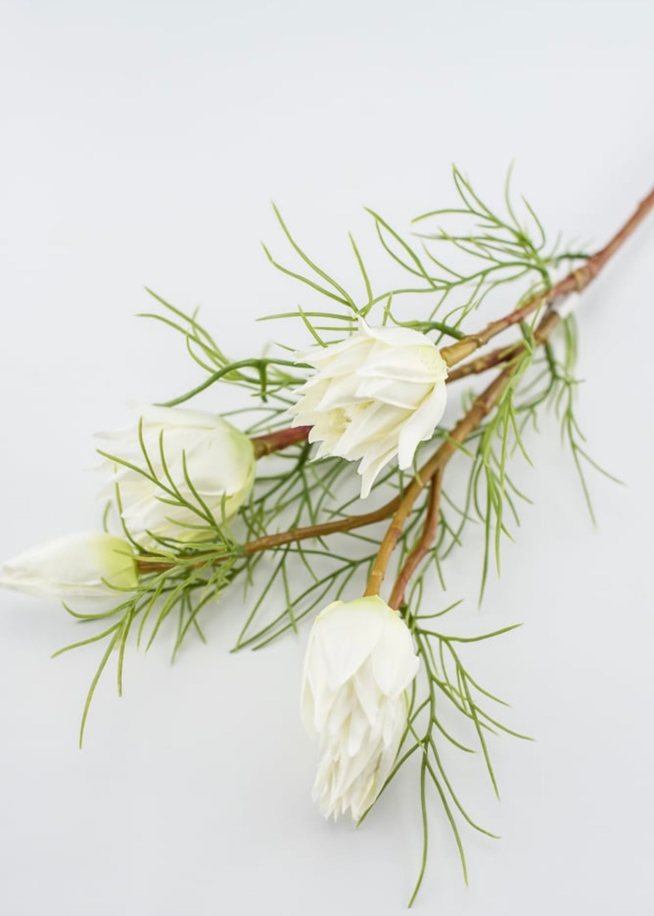 Wild protea Flower spray - white - Greenery MarketArtificial Flora6216-W
