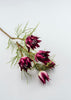 Wild protea Flower spray - Greenery MarketArtificial Flora6216-BU