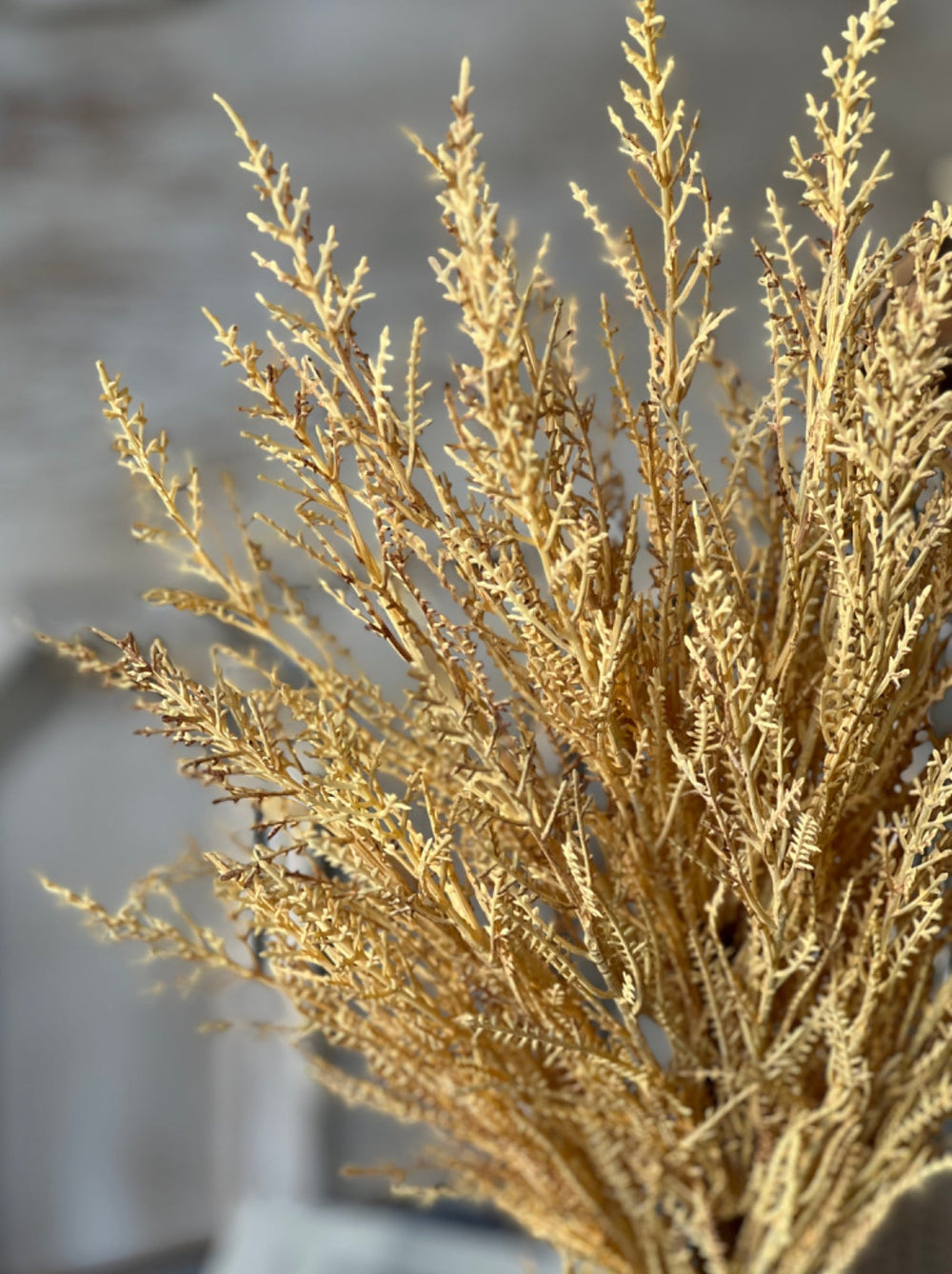 Wild wheat bush - creamy - Greenery MarketgreeneryXVP4368