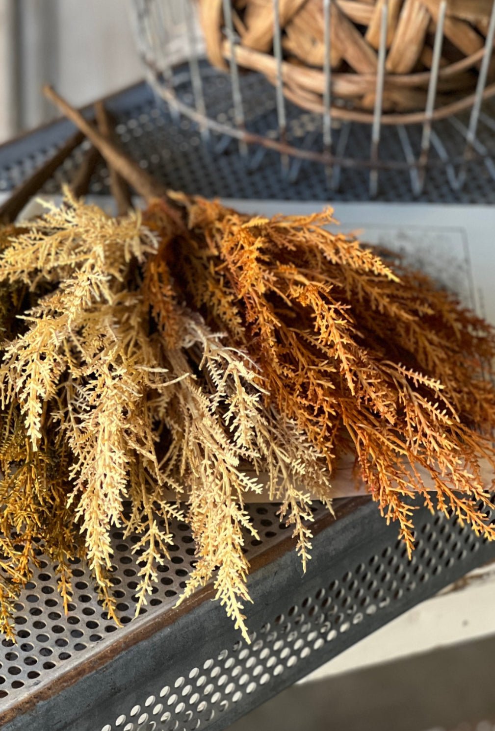 Wild wheat bush - rusty - Greenery Market