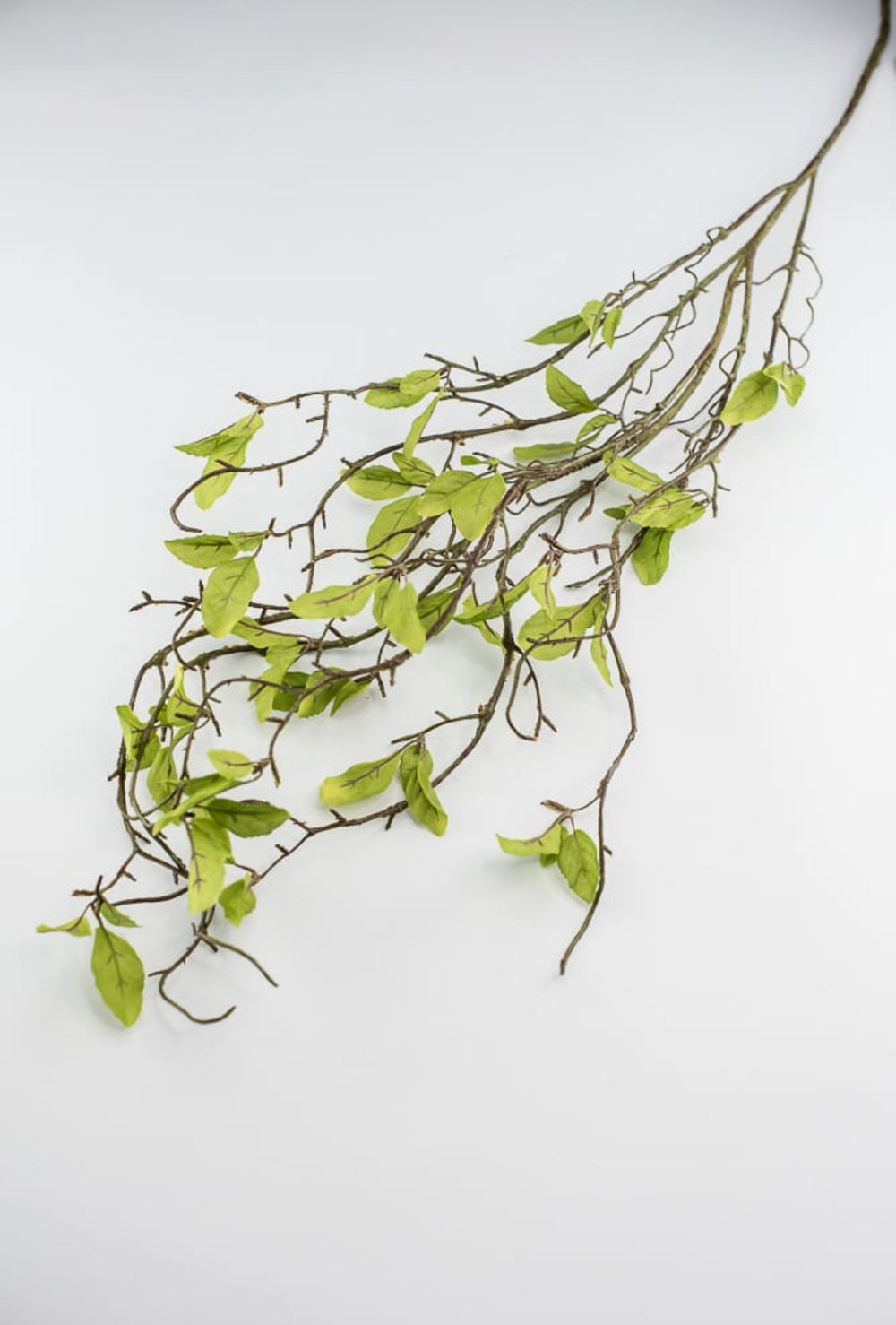 Willow branch - twigs with leaves spray - Greenery MarketgreeneryS1336-g