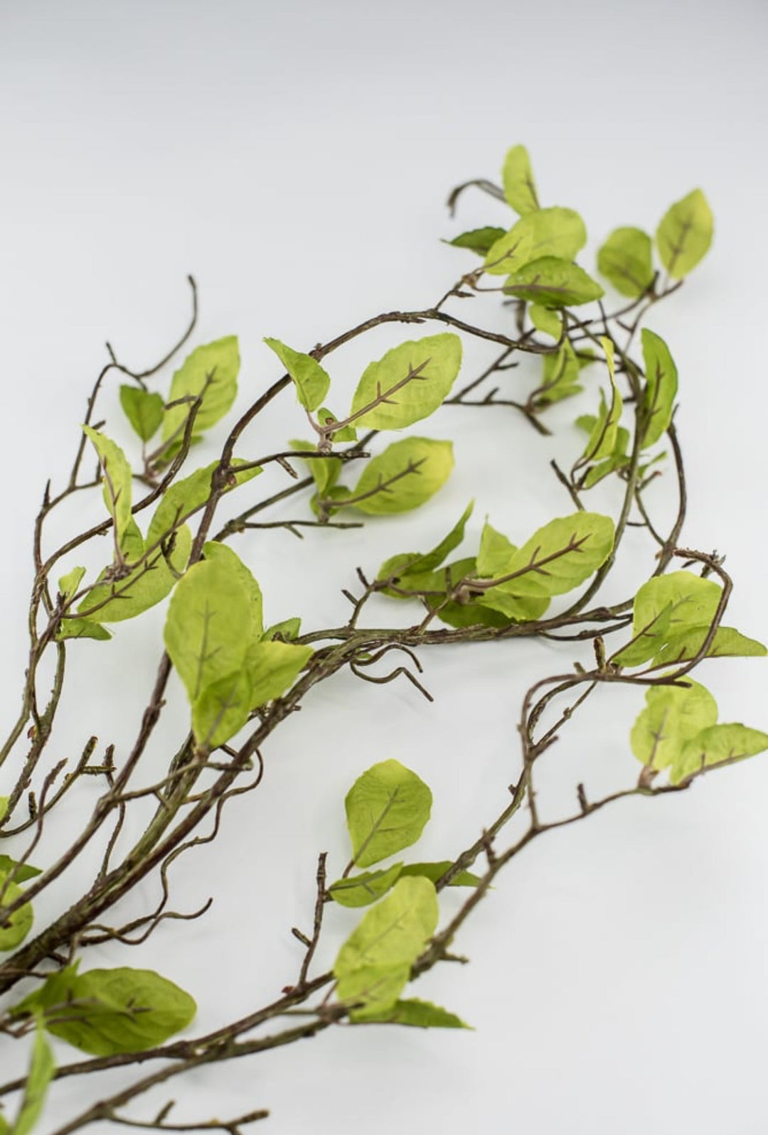 Willow branch - twigs with leaves spray - Greenery MarketgreeneryS1336-g