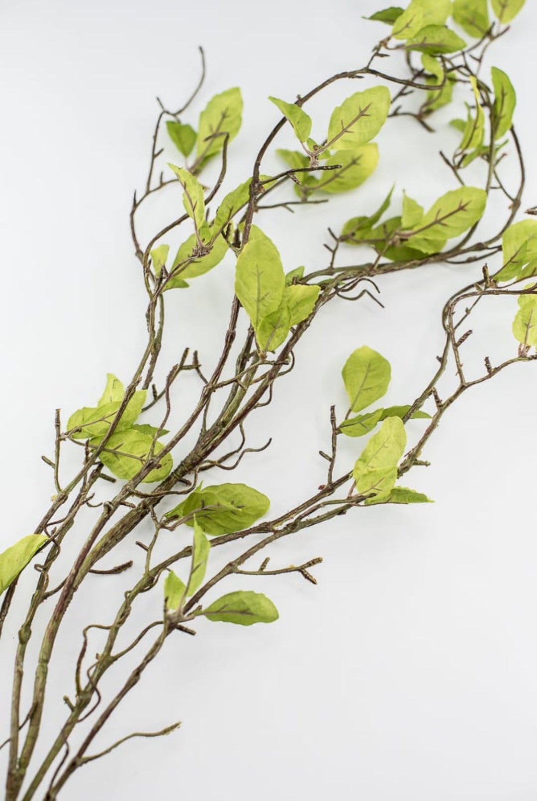 Willow branch - twigs with leaves spray - Greenery MarketgreeneryS1336-g