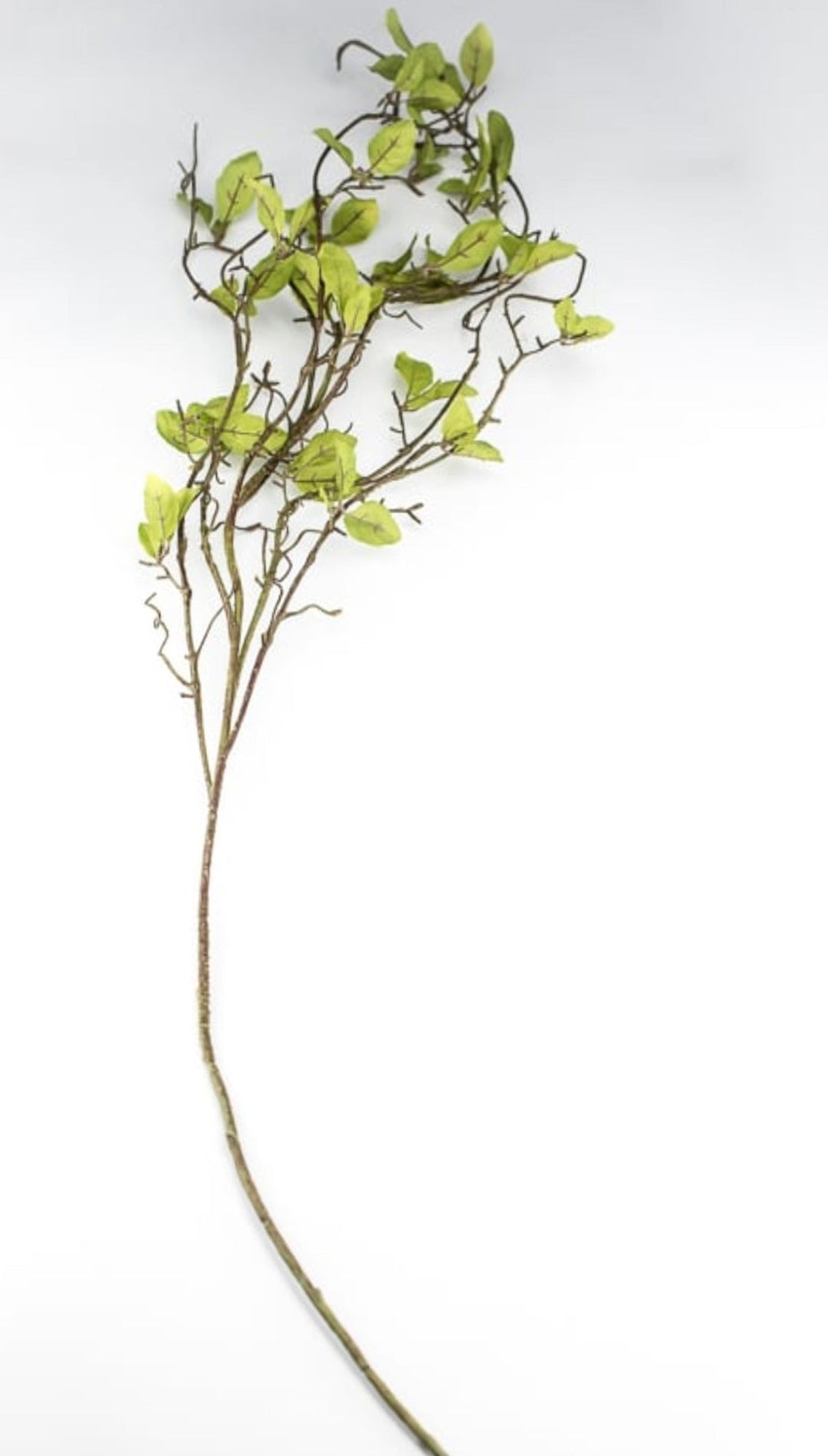 Willow branch - twigs with leaves spray - Greenery MarketgreeneryS1336-g