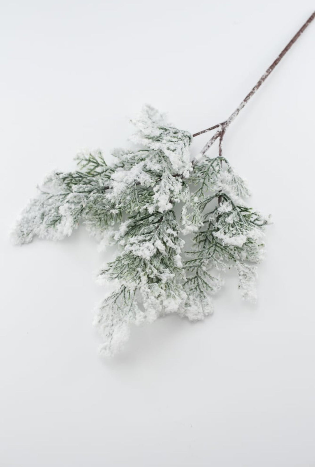 Winter cedar spray with snow - Greenery MarketX1761 - W