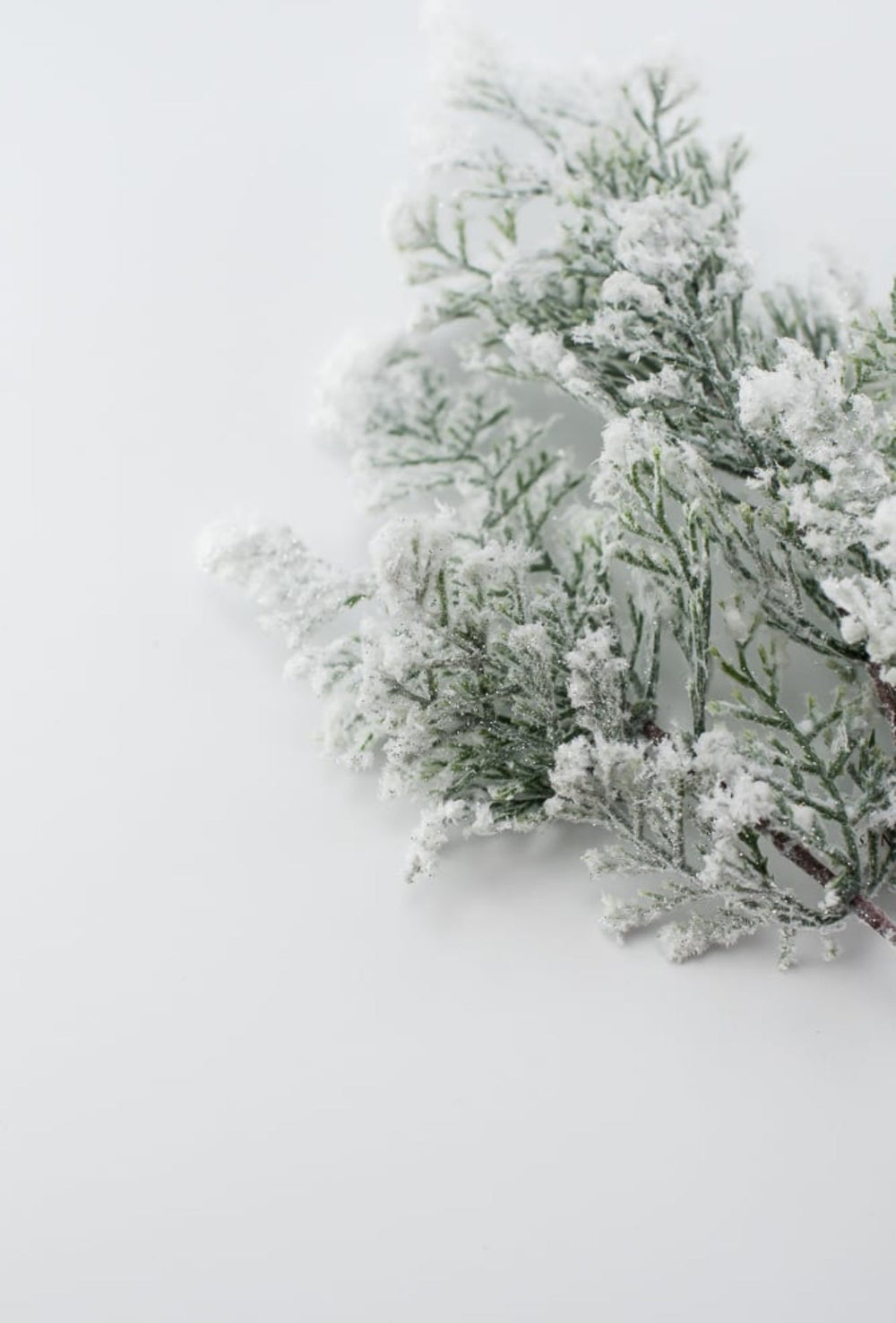 Winter cedar spray with snow - Greenery MarketX1761 - W