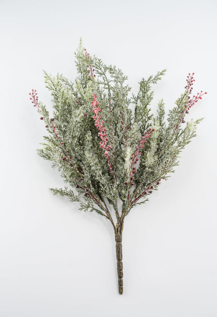 Winter cypress Pine bush with red berries - Greenery Market81823